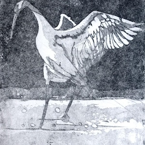 Peut inclure: Une impression en noir et blanc représentant une grue aux ailes partiellement déployées. L'oiseau se tient sur une surface texturée avec des marques circulaires, sur un fond sombre et tacheté qui contraste avec les tons clairs de l'oiseau.