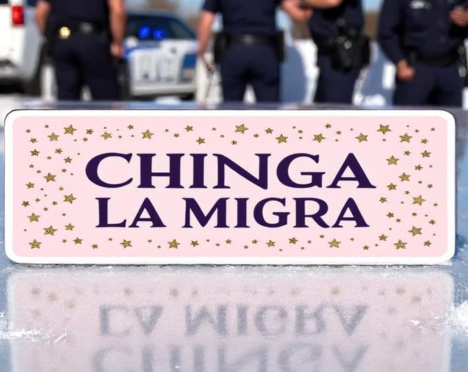 Chinga La Migra Car Magnet Or Bumper Sticker, Anti Trump Immigration Decal, F*ck Border Patrol Accessory, Deportation Pink Girly Gift