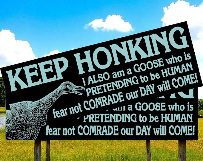 Keep Honking! Goose Espionage Bumper Stickers or Auto Magnets Set of 2