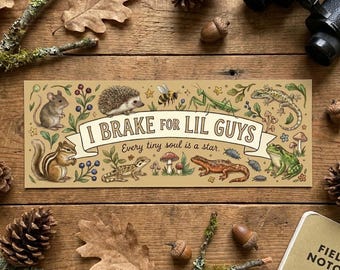 I Brake for Lil Guys Car Decal | Critter Bumper Sticker or Magnet Outdoor Window Stickers Nature