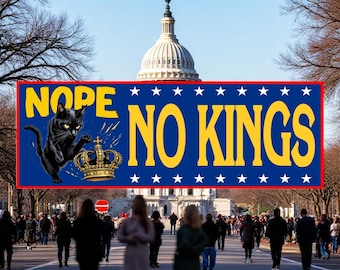 No Kings In America Since 1776 NOPE Car Magnet, Anti Fascism Bumper Sticker, Political Bumper Magnet, Protect Democracy