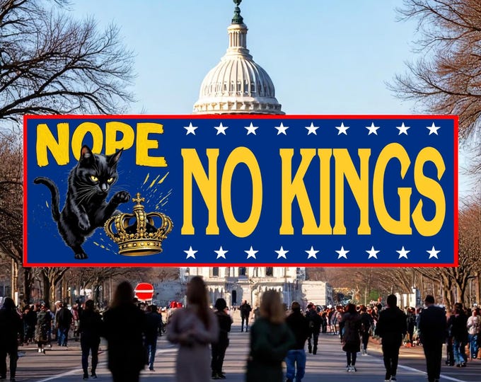No Kings In America Since 1776 NOPE Car Magnet, Anti Fascism Bumper Sticker, Political Bumper Magnet, Protect Democracy
