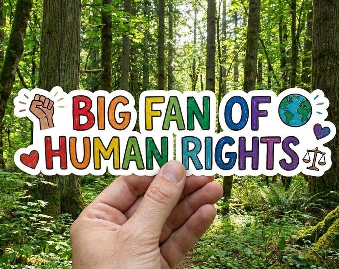 Big Fan Of Human Rights Vinyl Decal | Water Bottle Car Truck Window Rearview Mirror Laptop Bumper Sticker, Vote LGBTQ+ Equality Feminist FDT