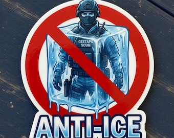 Anti ICE Vinyl Decal Sticker, Social Justice Resistance
