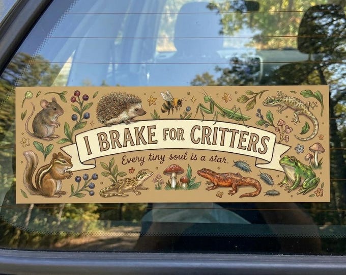 I Brake for CRITTERS Car Decal | Critter Bumper Sticker or Magnet Outdoor Window Stickers Nature