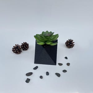May include: A black geometric planter with a green succulent plant. The planter is surrounded by small stones and pine cones. The succulent has green leaves with red tips.