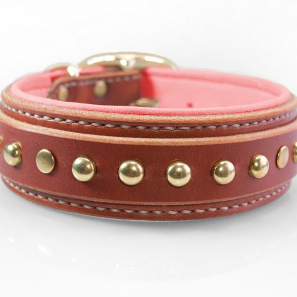 Pit Bull Dog Collar Etsy