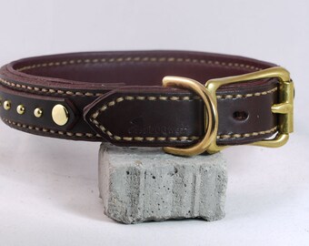 Small Classy Brass Dog Collar - Leather Dog Collar with Spots - Padded leather dog collar - handmade collars for dogs - stitched many colors
