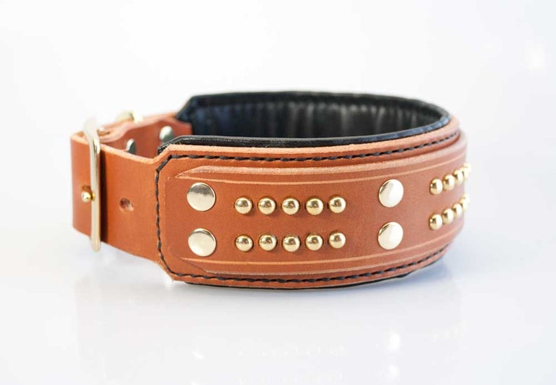 2in Wide Padded Leather Dog Collar Studded Black Dog Collar Etsy