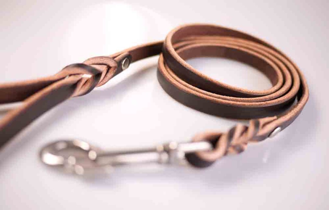 Leather Dog Leash for Small Dogs 1/2 Inch Wide Braided Etsy