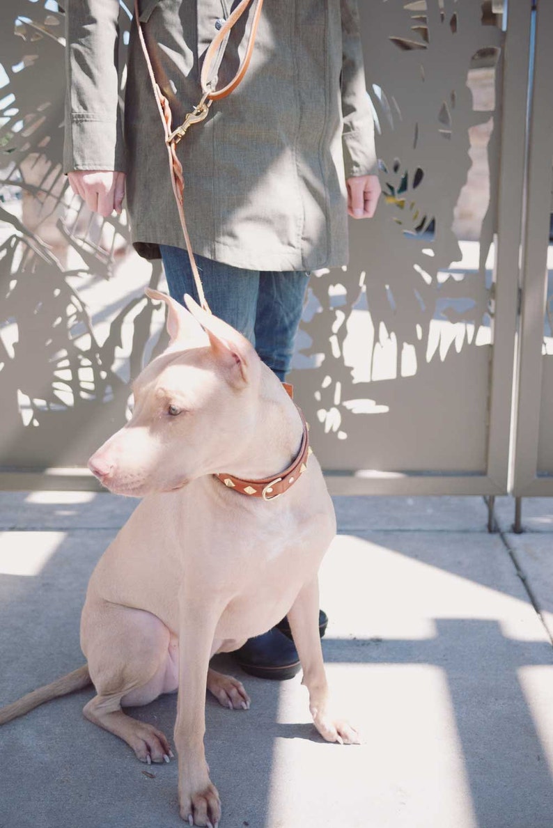 Hands Free Leather Dog Leash Braided Multi Use Great for Etsy