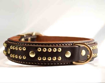 Strong Leather Dog Collar with Padding, Leather Pitbull Collar, Male Dog Collar, Custom Bully Dog Collars , Custom Leather Dog Collars