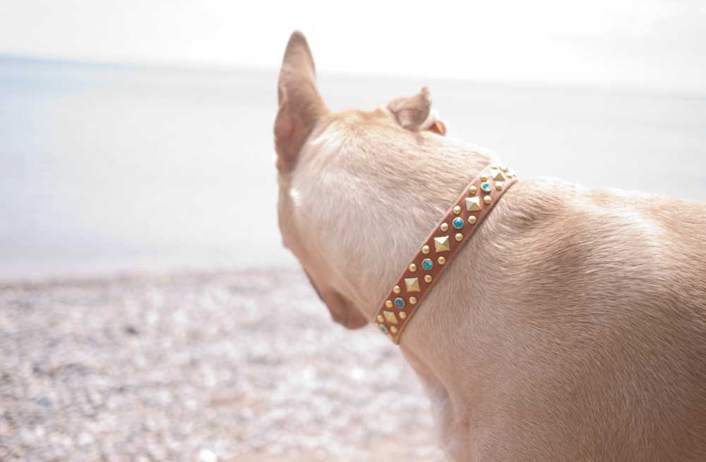 Blue Opal Dog Collar Jeweled Dog Collar Leather Turquoise Etsy