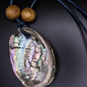 The Abalone Talisman Necklace