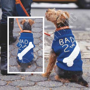 Può includere: Un cane indossa un maglione blu lavorato a maglia con la scritta "BAD 2 THE" e un disegno di osso bianco. Il cane è al guinzaglio e indossa un collare. Il pelo del cane è marrone e nero.