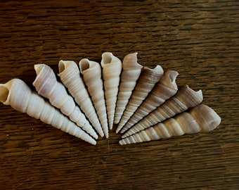 10 turret shells