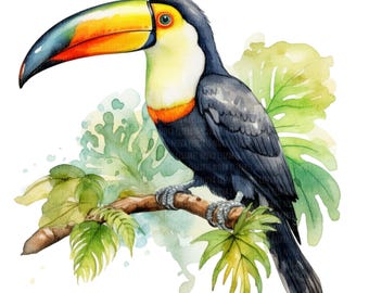 Watercolor Toucan Clipart, Tropical Bird PNG (Digital Download)