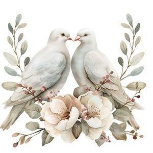 20 PNG, Clipart di colombe nuziali - Illustrazioni di colombe ad acquerello - Grafica di uccelli romantici - Uccelli dell'amore per inviti di nozze e cancelleria