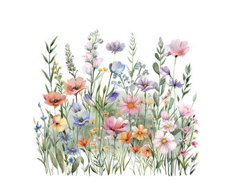 Watercolor Flowerbed Clipart Set, 12PNGWildflower Garden Illustration, Floral Meadow Clip Art, Spring Flowers, Botanical Digital Download