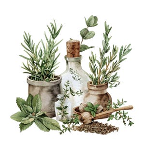 May include: Watercolor illustration of various herbs and spices. Features rosemary, mint, and thyme in small pots and bottles. Includes garlic, seeds, and a wooden spoon. The color palette is soft with green and brown tones.