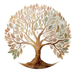 May include: Watercolour illustration of a tree with a rounded crown of leaves. The leaves are in shades of green, brown, and orange. The trunk and branches are brown. The tree is set against a white background.