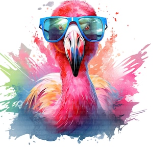 12 flamencos PNG - Imágenes prediseñadas de flamencos geniales - 12 flamencos PNG de acuarela con gafas de sol - Aves tropicales de verano, fondo transparente