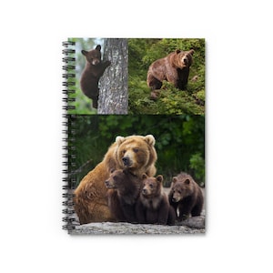 Nature-Inspired Spiral Notebook for Animal Lovers, Bear Journal, Wildlife Sketchbook, Eco-Friendly Stationery, Gift for Bear Enthusiasts