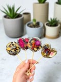 Set of Artisan Tea Lollipops in a Box, Sugar-Free Isomalt Pops with Dried Fruit Flowers