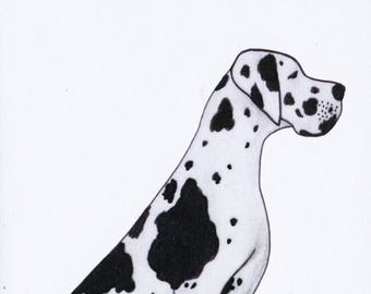 Illustrated Great Dane Blank Card