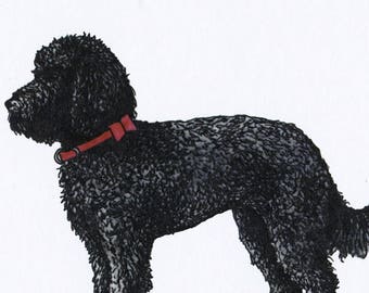 Illustrated Labradoodle Blank Card