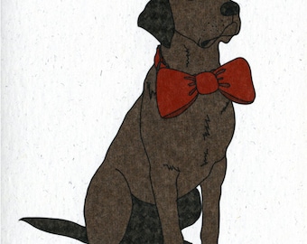 Illustrated Chocolate Labrador Blank Card