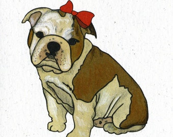 Illustrated Bulldog Lady Pup Blank Greetings Card