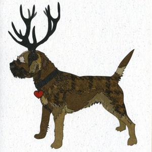 Biglietto illustrato Border Terrier vuoto - Grizzle rosso