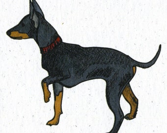 Illustrated Manchester Terrier Blank Card