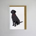 see more listings in the Dog Cards section