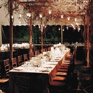 May include: An outdoor event setting with long tables set for a formal dinner. The tables are covered with white linens and set with glassware and plates. Overhead, a canopy of branches and hanging lights creates an elegant atmosphere.
