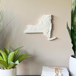 New York Topographic Map - 3D Printed Wall Art
