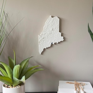Maine Topographic Map - 3D Printed Wall Art
