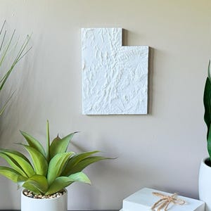 Utah Topographic Map - 3D Printed Wall Art