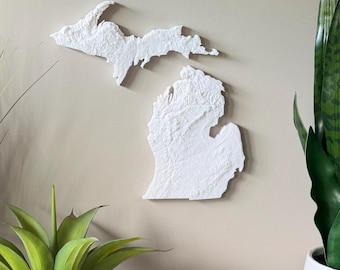 May include: A white, textured wall hanging in the shape of the state of Michigan. The artwork is mounted on a neutral-colored wall, with various potted plants and decorative items in the foreground.