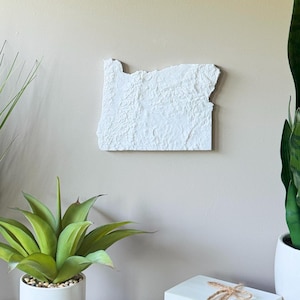 May include: A white, textured wall hanging shaped like the state of Oregon. The artwork is mounted on a neutral wall. The image also shows a black surface with white pots holding green plants, and a stack of white boxes tied with twine.