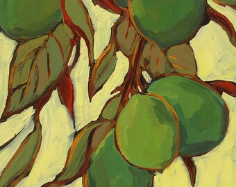 Six Limes- 16 x 12--art for kitchen-nature art--limes art print --archival giclee print