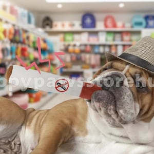 May include: A bulldog wearing a fedora and holding a cigarette with a no-smoking sign. The dog is in a pet shop, with shelves of pet supplies in the background. The text "happypawsstorehub" is visible.