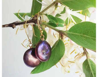 Black Coin Pearl Earrings - Gold-Filled