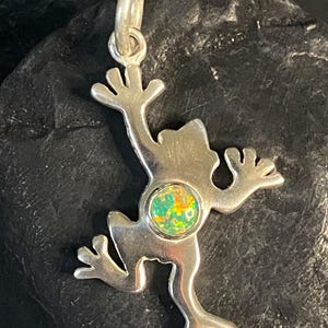 May include: A silver frog pendant with outstretched arms and legs. The frog has a circular, colorful stone set in its body. The pendant is suspended from a small silver loop.
