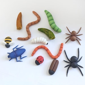 May include: A collection of small, handcrafted clay figures shaped like various insects and creatures, including a bee, a blue beetle, a ladybug, two spiders, a white grub, a green caterpillar, two segmented worms, and two brown pupae.