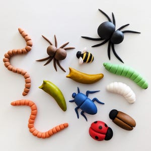 May include: A collection of colorful clay insects and worms, including a black spider, a blue beetle, a red ladybug, and a yellow and black bee. Other insects include a green caterpillar and a white grub. The worms are orange and brown.