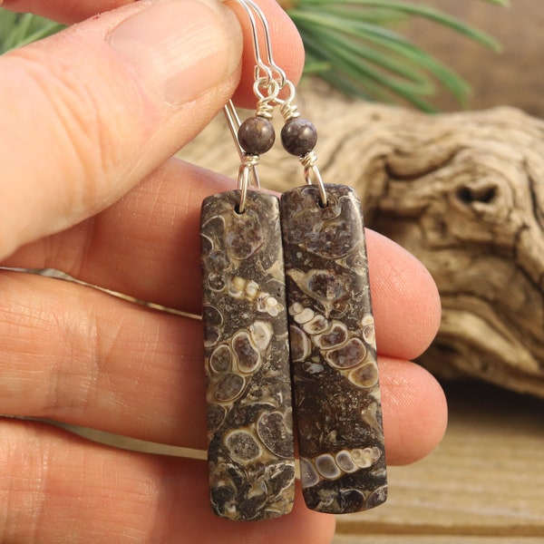 Turritella Fossil Agate Earrings, Geologist Gift for Her