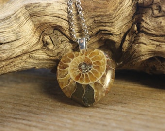 Ammonite Fossil Heart Necklace, Fossil Jewelry, Scientist Gift, Gift for Her