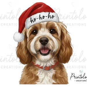Puede incluir: Ilustración digital de un Cavalier King Charles Spaniel con un gorro de Papá Noel con el texto "ho-ho-ho". El perro tiene pelo marrón y blanco, un collar rojo y está sonriendo. La imagen tiene el logo de Printology Creations.